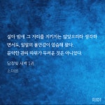 노벨정원 - [🎁나눔후기] 승상으로 발령났는데 왕이 병영에만 가있고 정무를 안본다... ༼◉_◉ ༽  얘 좀 가르치고 잘 닦아서 일도 좀 시키고... 