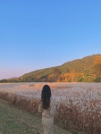 여행/해외거주 - 가을을 떠나보내며 다녀온 곳 몇곳 남겨봐!