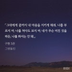노벨정원 - 구원 시리즈 구원 🎁 후기
