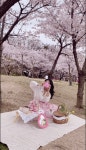 이슈/유머 - 집 앞 공원에서 벚꽃놀이 한 후기