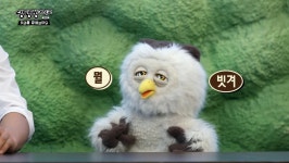 이슈/유머 - [딩동댕 대학교] 붱철 낄희에게 오늘도 고통받는 황치열선배.jpg