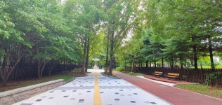 이슈/유머 - 요즘 1기신도시 아파트 공원길.jpg