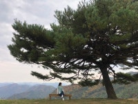 여행/해외거주 - 평창여행 어디가 좋았어?