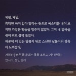 노벨정원 - 여주 발목 망가뜨리는 남주들... (ㅂㅊ ㅅㅍ)