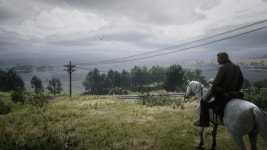 게임 - 대체 이게 백마인지 얼룩말인지