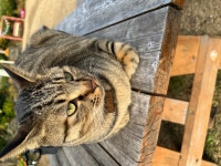 여행/해외거주 - 나홀로 3박 4일 제주도 동부 여행기 -2