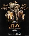 도토리숲 - 내셔널 지오그래픽 <퀸즈> 디즈니 플러스에서 지금 스트리밍 중 | 동물의 여왕들이 지배하는 자연의 세계!