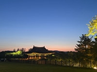 여행/해외거주 - 1박 2일 짧은 경주여행기