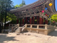 여행/해외거주 - 1박 2일 짧은 경주여행기