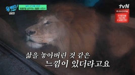 이슈/유머 - [유퀴즈] 갑자기 하늘이 보이고 새소리가 들리니까 굉장히 당황하더라구요.jpg