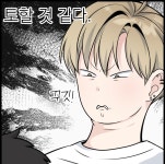 노벨정원 - 캔디윰윰 웹툰 잘뽑혔네