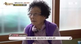 더쿠 - 손만 보면 두려워 물려고하는 강아지와 그런 강아지가 마냥 안쓰러운 할머니 (스압주의/아침부터 눈물 찔끔 주의)