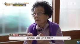 더쿠 - 손만 보면 두려워 물려고하는 강아지와 그런 강아지가 마냥 안쓰러운 할머니 (스압주의/아침부터 눈물 찔끔 주의)