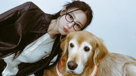 이슈/유머 - 안경 새로 샀는데 약간 후회 중인 아이들 미연.jpg