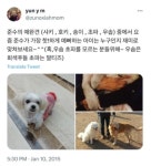 이슈/유머 - 강아지가 클랜징폼만큼 작다는 시아준수형과 펫샵 입양값까지 적어놓고 파양하는 시아준수