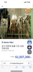오컬트 - 택일해서 낳았다는데 사주 이상한 토리 있음?