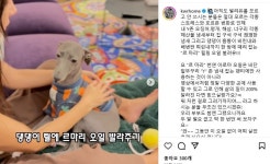 이슈/유머 - 한 인플루언서가 판매하는 천연 아로마 오일 이름과 소개글 (feat. 前티아라 스타일리스트)