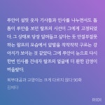 노벨정원 - 강아지 유기는 용서받을 수 없는 극악무도한 범죄인데 어째서