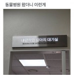 이슈/유머 - 신기한 동물병원 대기실