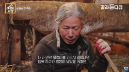 이슈/유머 - 반려소 지축이
