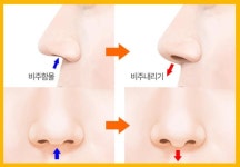 이슈/유머 - 관상학에서 돈과 명예를 코 끝에 모은다는 코 모양