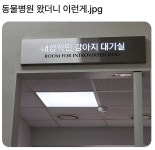 이슈/유머 - 동물병원 왔더니 이런게.jpg