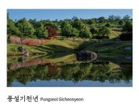 이슈/유머 - 입장료가 비싸서 놀라지만 가면 만족한다는 군위 사유원