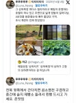 이슈/유머 - 매일유업 상하치즈 상하목장의 상하가 고창의 상하면이라는 걸 아십니까 양떼도 볼수있는데