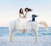 이슈/유머 - 범상치 않은 조던 필 감독의 결혼사진...