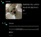 이슈/유머 - 동물병원에서 코코 금지어인 이유