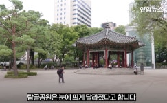 이슈/유머 - 탑골공원 장기판 압수…그 후 벌어진 충격적인 변화