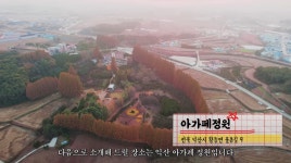 이슈/유머 - 11월에 놓치면 후회할 여행지 중 3곳 - 논산 온빛자연휴양림, 익산 아가페정원, 서울 흥선대원군의 별서 & 석파정 (서울미술관)