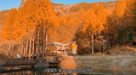 이슈/유머 - 11월에 놓치면 후회할 여행지 중 3곳 - 논산 온빛자연휴양림, 익산 아가페정원, 서울 흥선대원군의 별서 & 석파정 (서울미술관)