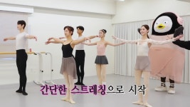 이슈/유머 - [펭TV] 발레복도 잘 어울리는 발레하는 펭수 + 발레 의상&슈즈의 가격