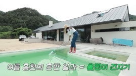 이슈/유머 - 한혜진의 홍천집 망한 포인트 중 하나가 야외 수영장인 이유 (사람에 따라 약간 징그러움 주의)