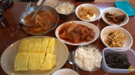 이슈/유머 - 김치찌개 전문