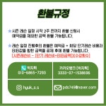 [지산리조트] 24/25 박지혁 LV3 시즌레슨 모집 - Dr. Sparks Columns