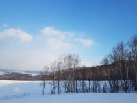 클럽메드 훗카이도 토마무 후기입니다. (2018.01.17~20) - Dr. Sparks Columns