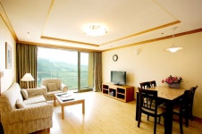 (양도완료)설 연휴 1월22일,23일 2박 웰리힐리파크 콘도 스위트B 35평형 양도 - Dr. Sparks Columns