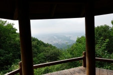 다시 검단산에... - Dr. Sparks Columns