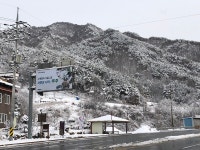 1월 8일 무주리조트 가족호텔 콘도 양도합니다. 골드타입 솔마을객실 - Dr. Sparks Columns