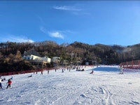 휘닉스파크 주차권 유스 - Dr. Sparks Columns