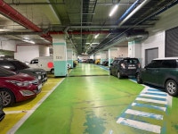 엘리시안 지하주차장 스키 도난 - Dr. Sparks Columns