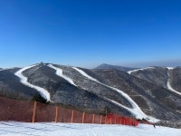 휘닉스파크 18일(토) 방 판매 - Dr. Sparks Columns