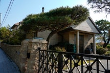 도곡3리 스트롤러(Dogok-3ri Stroller) - Dr. Sparks Columns