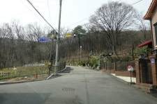 배신한 아치울과 모커리, 그리고 봄꽃들 - Dr. Sparks Columns