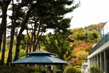 망우카페에서의 만남 / Meeting with Victor Shin - Dr. Sparks Columns