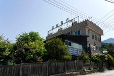 봄-여름 간절기(間節氣)의 꽃들 - Dr. Sparks Columns