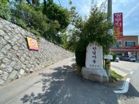 봄꽃 산책 - 줄리와 함께 덕소를 걷다. - Dr. Sparks Columns