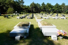 추석을 앞두고 여주 계림리에... - Dr. Sparks Columns